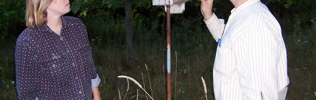 Checking a bird house
