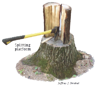 Splitting Wood for Firewood Safely and Efficiently