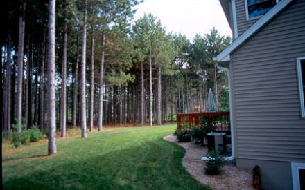 Wildfire and your Woodland