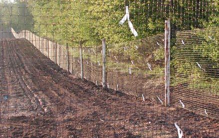 Protect your trees with fencing