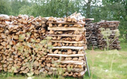Stackology – The art and science of stacking firewood