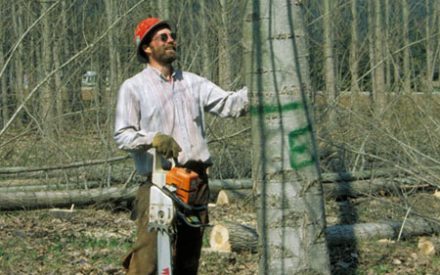 Find the Best Logger for you