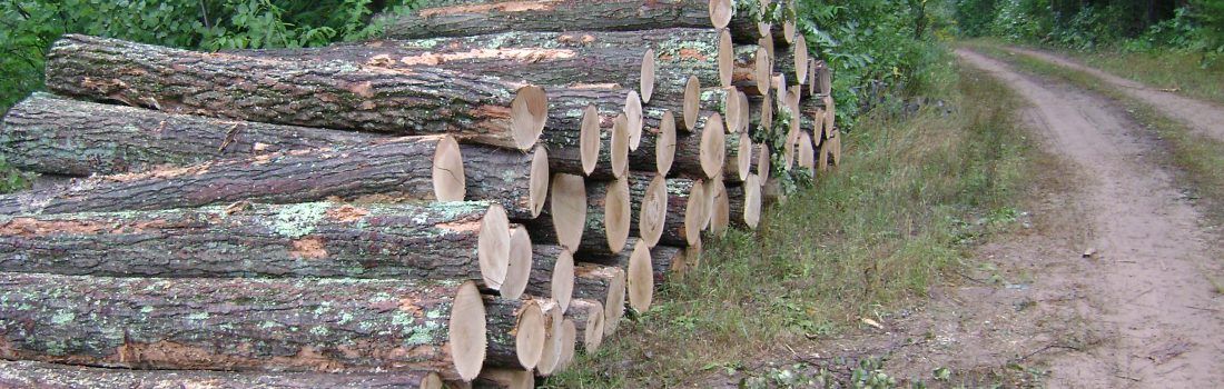 Logs by a road