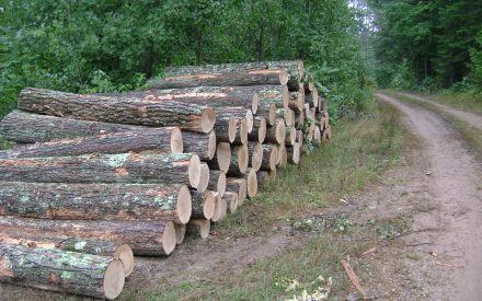 Reasons for always having a written contract