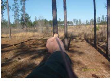 Tracking changes to your trees and woods: Seeing the forest through the trees