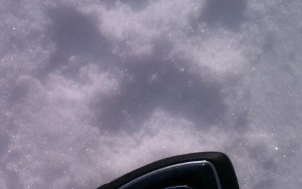 What’s in your woods this month?