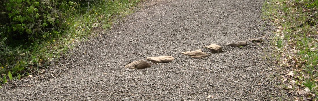 Gravel trail into the woods with table rock water bars to direct water flow