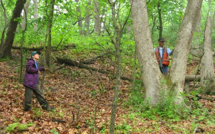 Financial assistance for woodland owners