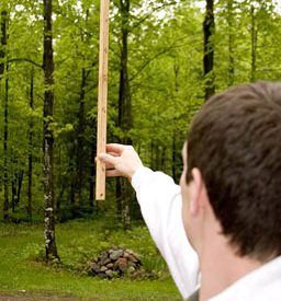 Tracking changes to your trees and woods: Measuring growth