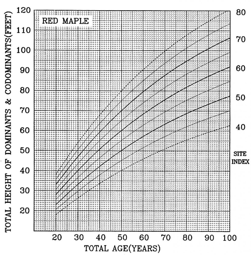 Site index curve