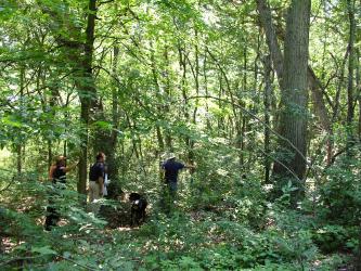 What to expect when you contact a forester