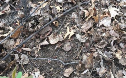 The soil between your toes