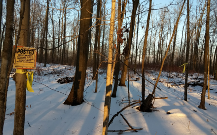 It’s a Beautiful Day to Be Neighborly