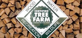 Certified tree farm sticker on the end of stacked logs