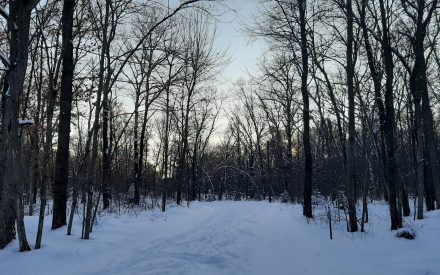If a person bathes in the forest, and no one is around to see it, did it really happen?