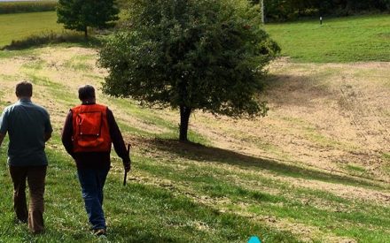 A woodland owner’s journey through the bureaucracy