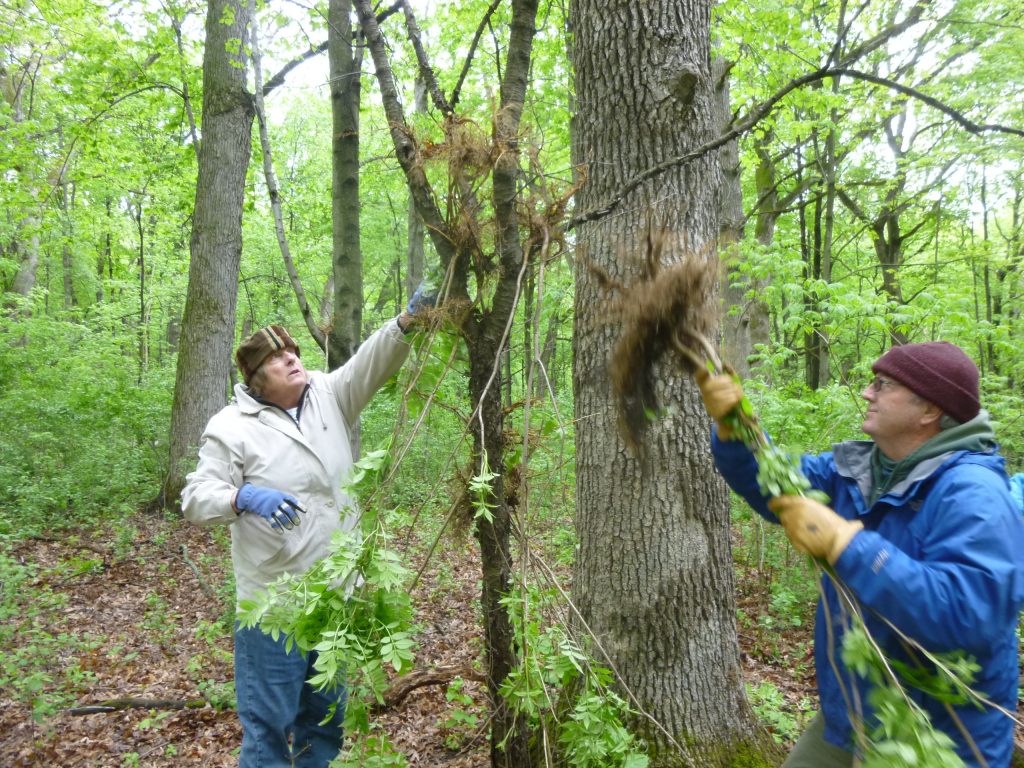 two people in the forest