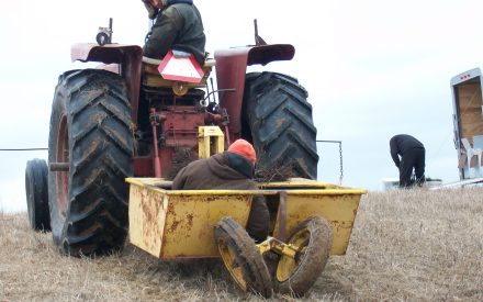 Tree planting – It’s all in the details