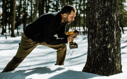 New Extension Program Supports Maple Syrup Production and Forest Health