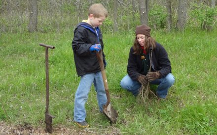 Selecting Trees for Planting