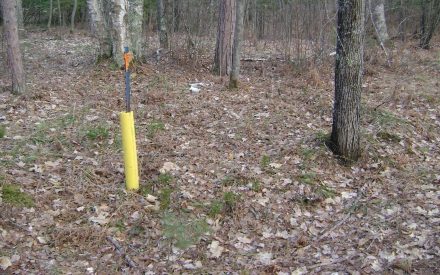 Know your Property Boundaries