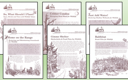 Resources for Woodland Owners