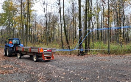 USDA Funding for Sugarbush Forestry