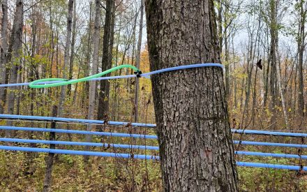 Preparing for Maple Sugaring Season