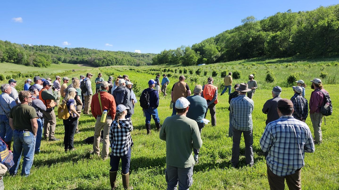 Foresters standing in a field during an agroforestry event.