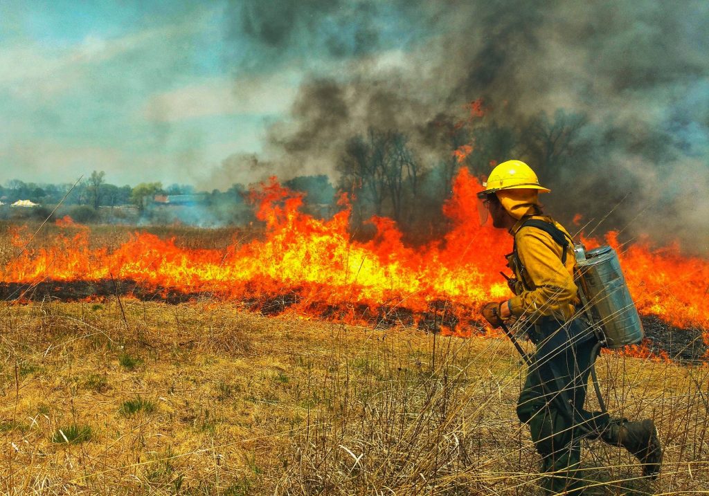 Person on fireline monitors headfire in prairie