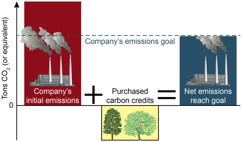 Graph showing that a company's initial emissions plus its purchased carbon credits allow it to lower its net emissions.