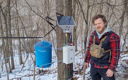 Live Dashboard: Sap Flow and Environmental Measurements