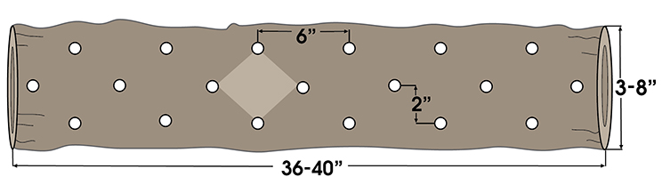 Graphic showing a diamond pattern of holes