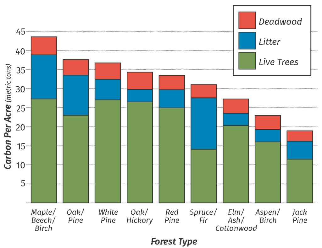 Graph showing the different amounts of carbon stored in live trees, litter, and deadwood in various forest types in Wisconsin.