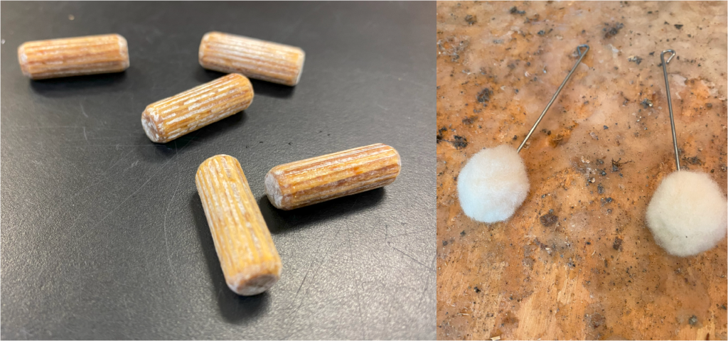 plug spawn and cotton daubers