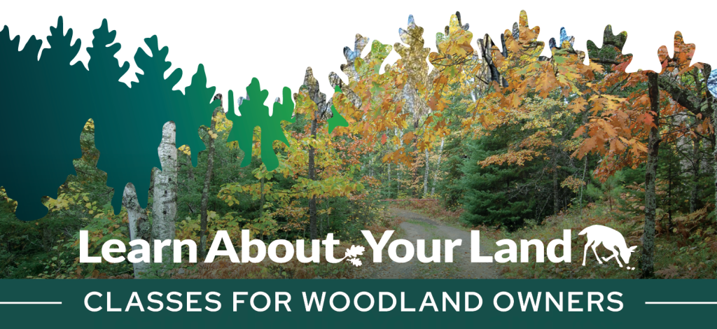 Learn About Your Land: Classes for Woodland Owners. Image of a trail through a forest in fall.
