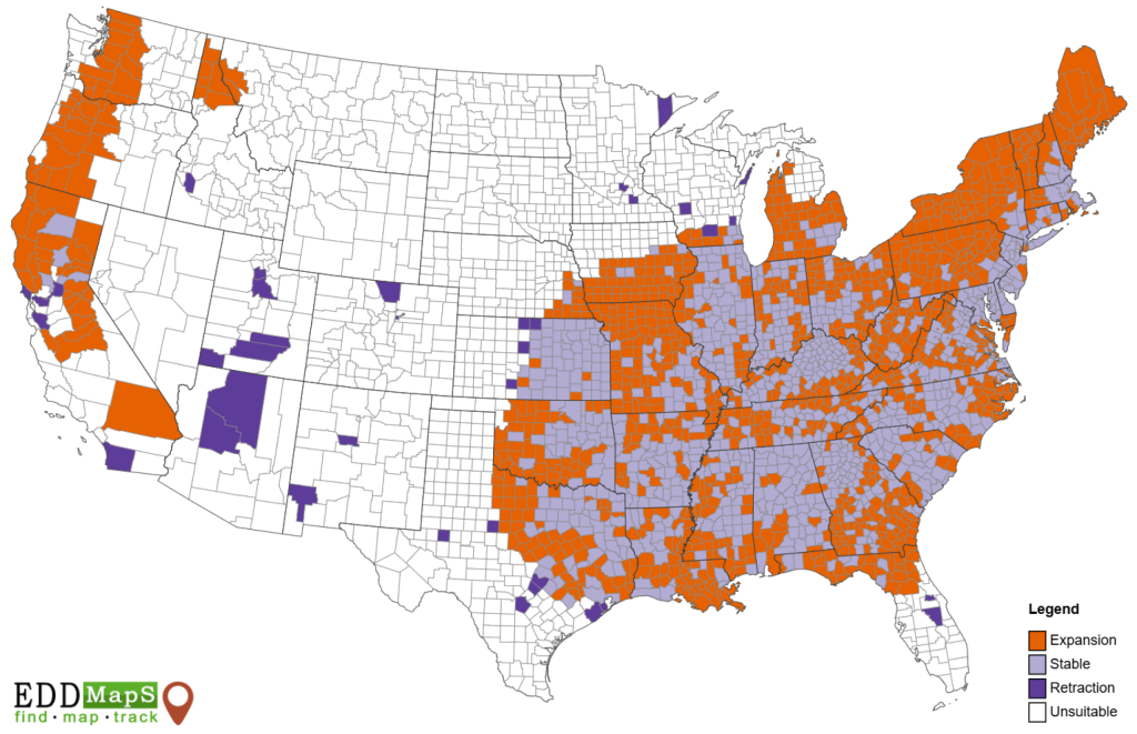Map of the current and projected future range of Callery pear