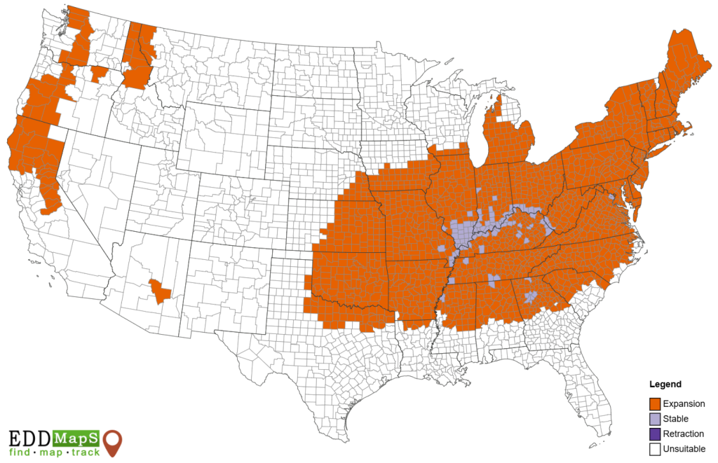 Map of the current and projected future range of chaff flower