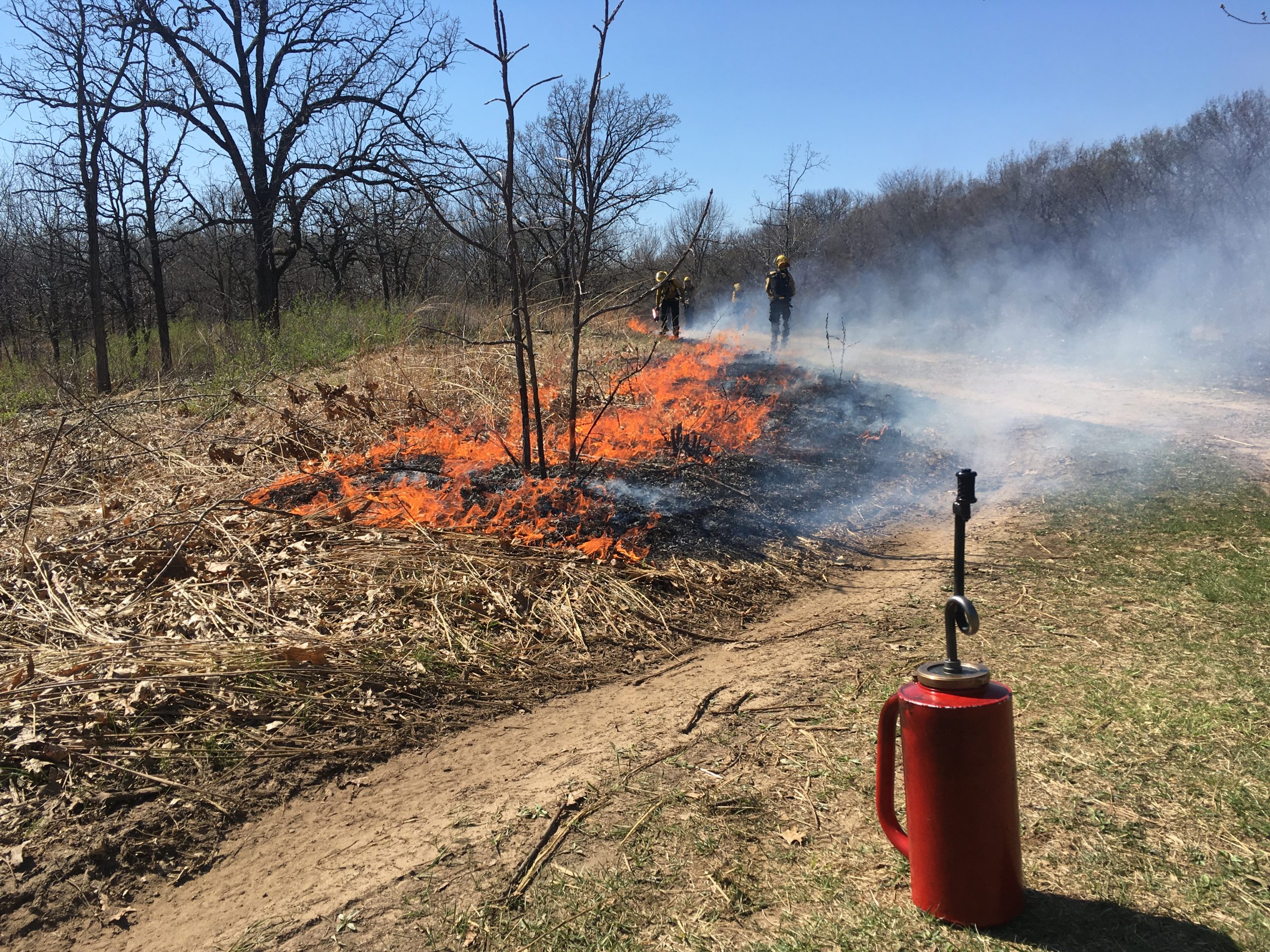 Drip torch and the start of a flanking fire in an oak woodland