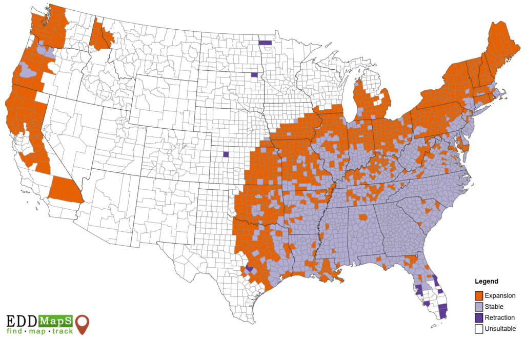 Map of the current and projected future range of kudzu