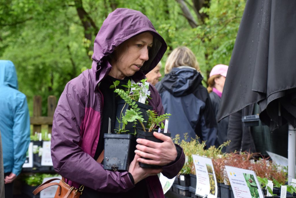 a women holds several plants and looks at other plants at a plant sale