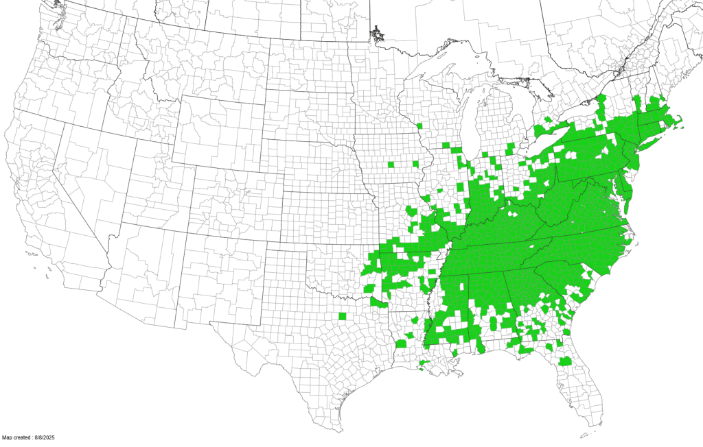 Map of the current known distribution of stiltgrass in North America, including most of the eastern and southern US.