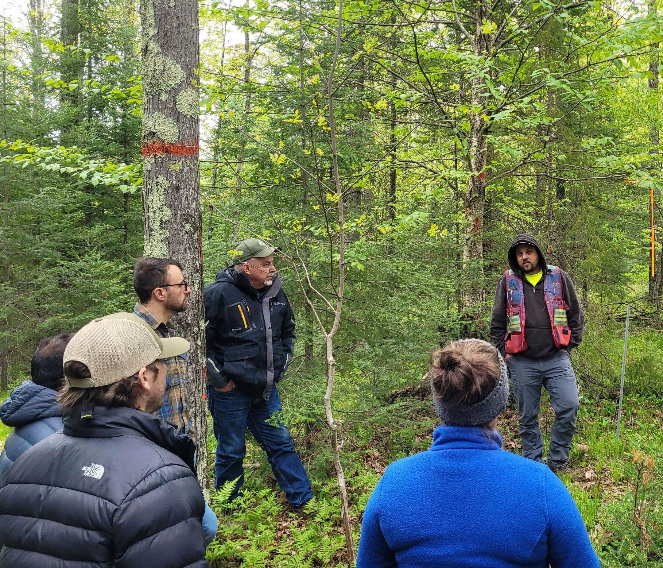 a forester talking with a group of people in a forest