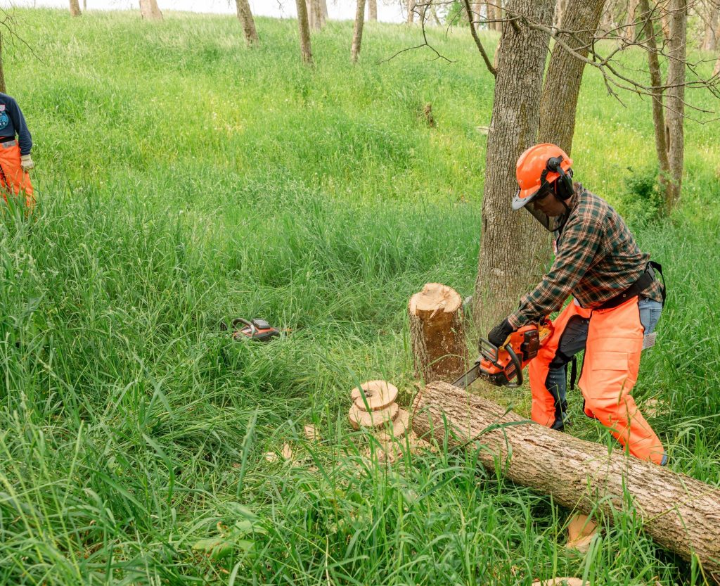 a woman cutting a log with a chainsaw