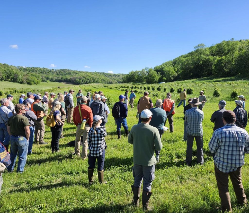 Foresters standing in a field during an agroforestry event.