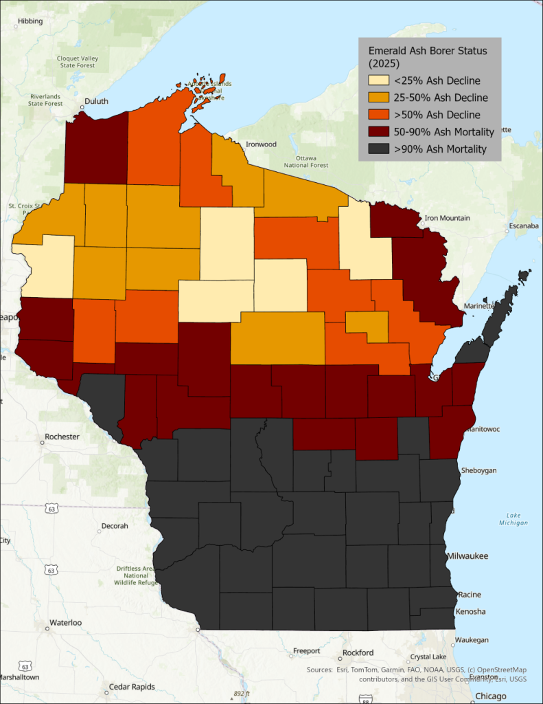Map showing that in southern Wisconsin, more than 90% of ash trees have died, while in many northern counties the infestations are at an earlier stage.