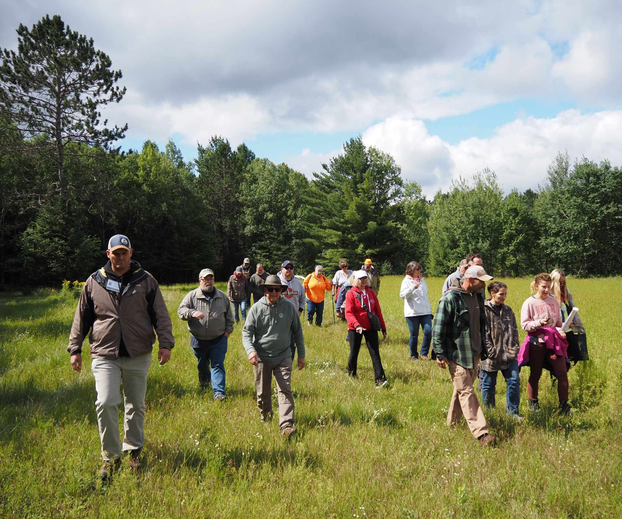 a group of people walking in a clearing in a forest