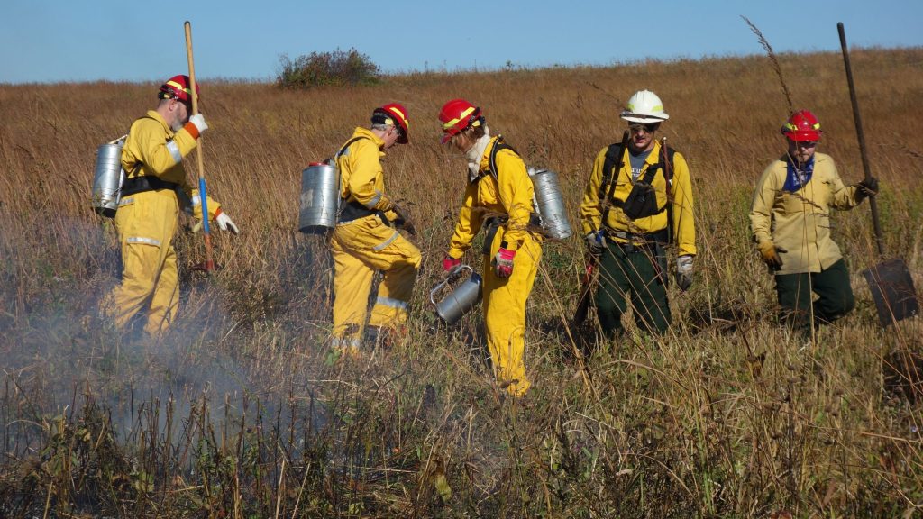 Fire crew doing a prescribed burn in a prairie