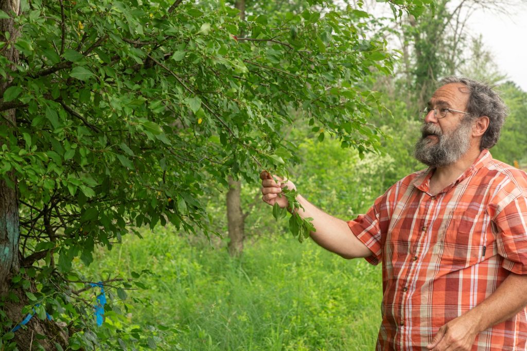 a man holding a buckthorn branch