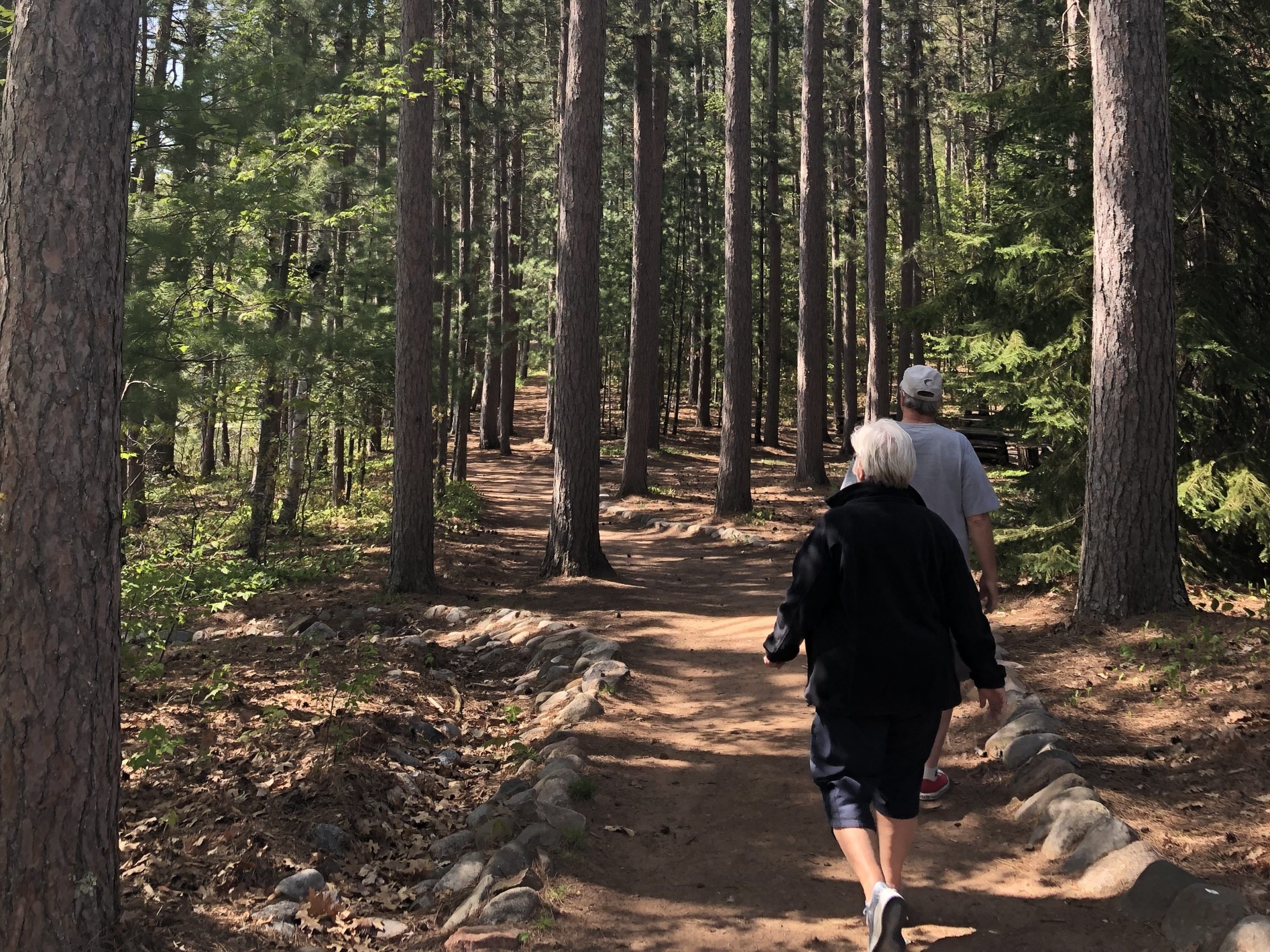 Two people walking on a trail through a forest